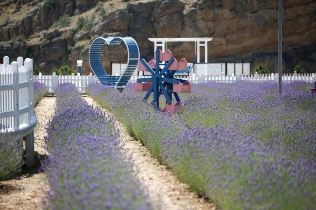 Konya’nın yeşiliyle ünlü ilçesi Meram’da yaz masala dönüşüyor 5